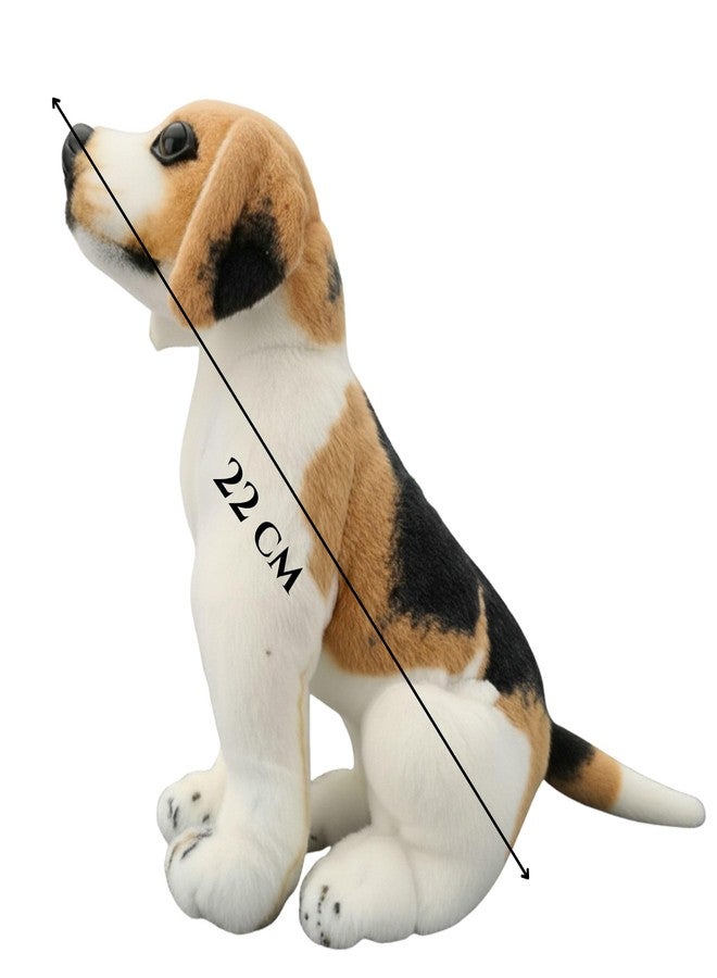 Tickles Musical Beagle Sitting Dog with Barking Sound Bow-Wow Soft Stuffed Plush Animal Toy for Kids Boys & Girls Birthday Gift (Color: White & Brown, Size: 22 cm) - Image 5